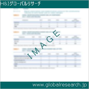 グローバルリサーチ調査レポートのイメージ
